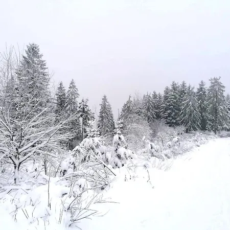 Bed & Breakfast Haus Berchstein Winterberg
