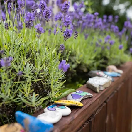 Haus Berchstein 3* Winterberg