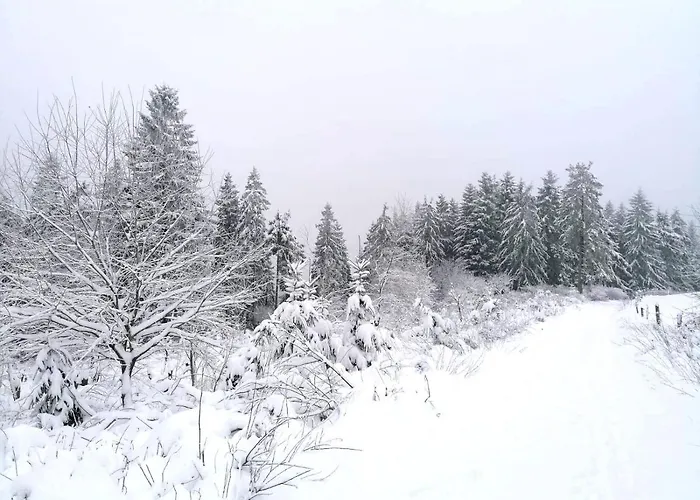 Bed and Breakfast Haus Berchstein Βίντερμπεργκ