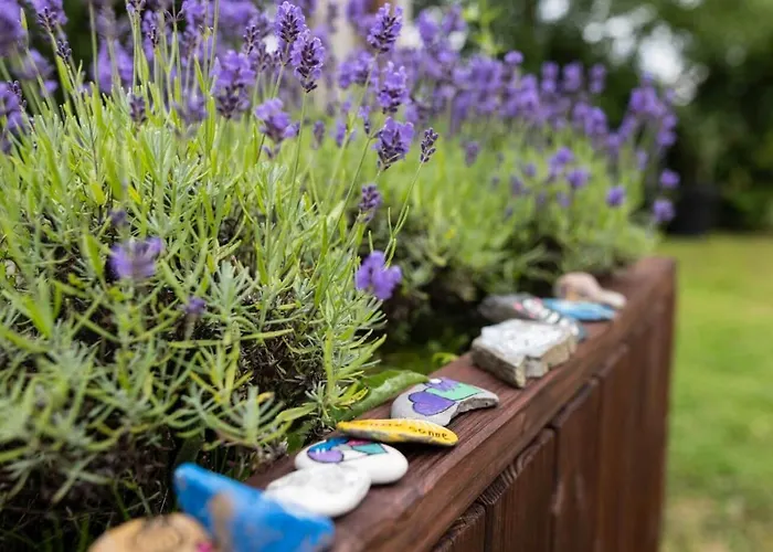 Haus Berchstein 3* Βίντερμπεργκ